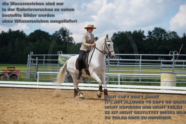 s_K3F06312.JPG